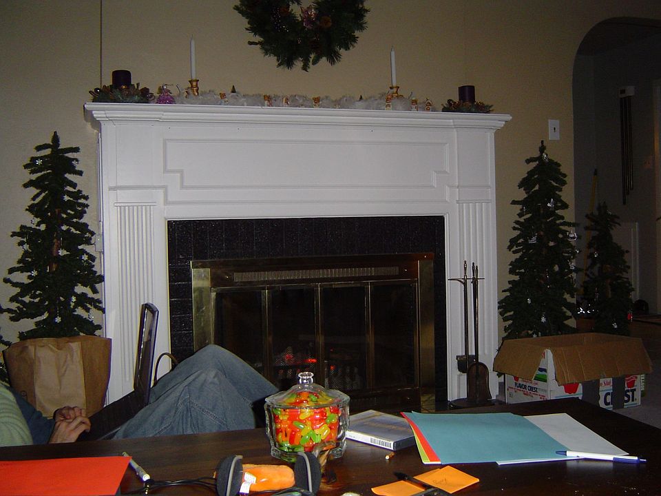 The livingroom wood fireplace