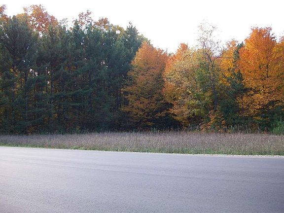 4th image of 0 Thompsonville Hwy