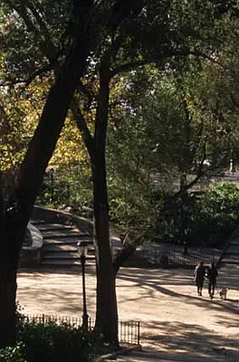 Rented by Reliable Property Management LLC | media 49