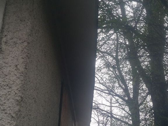 5th image of 1162 Greenlaw Ave
