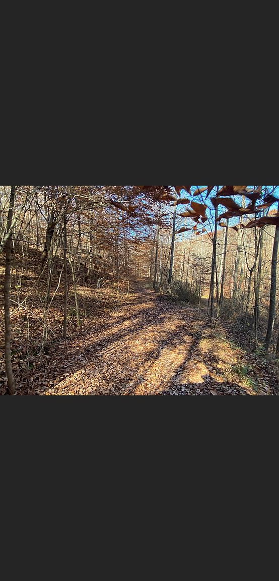 3179 Salt Lick Rd, Vanceburg, KY 41179 Zillow