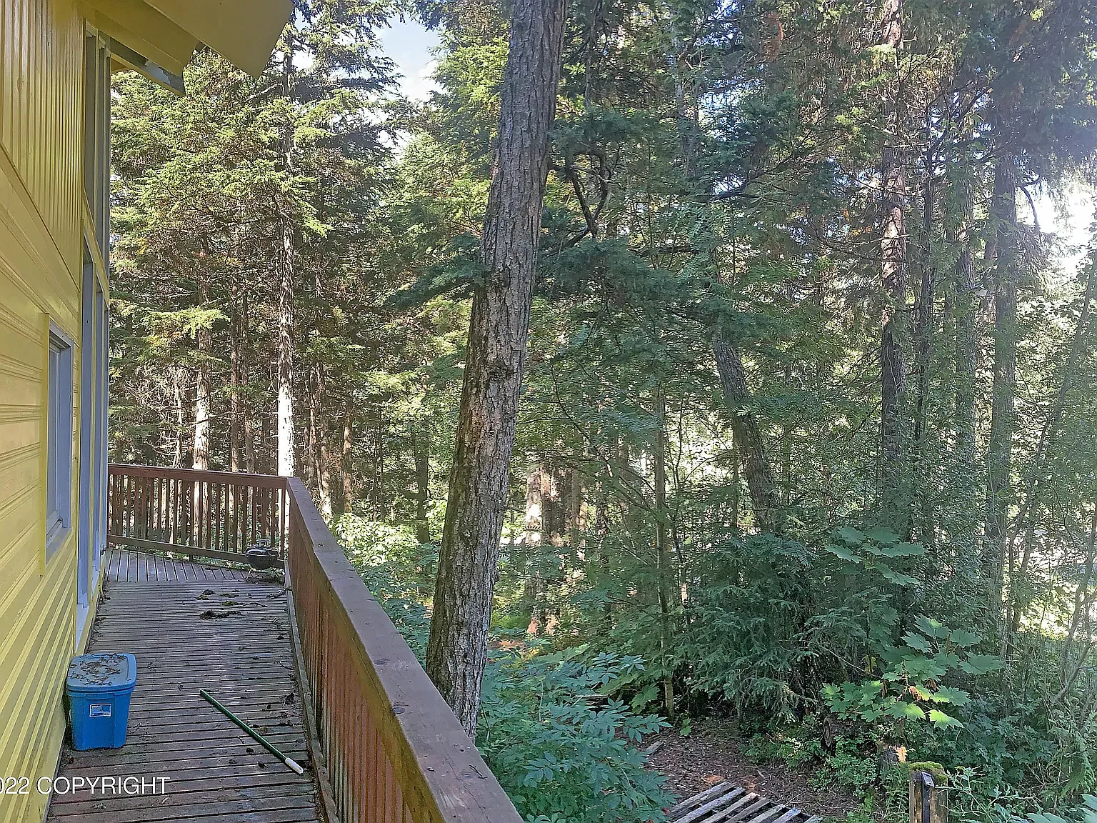 1 bed, 1242 sqft, $2,750 — Photo 4
