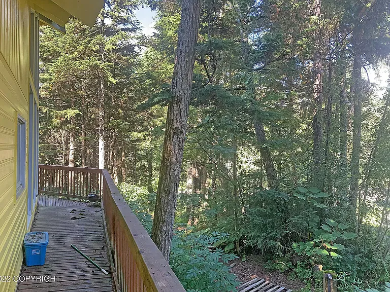 333 Timberline Dr — Photo 4
