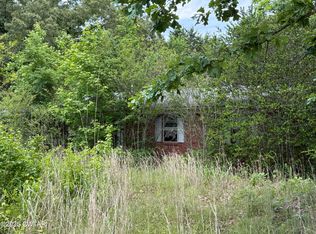 1427 Britton Ln, Denmark, TN 38391
