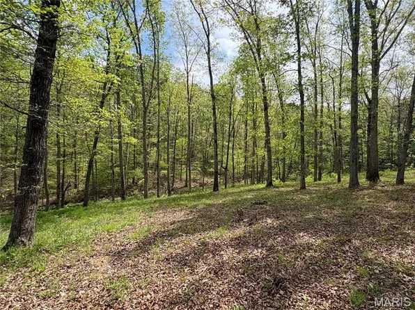 10405 County Road 700, Centerville, MO 63633
