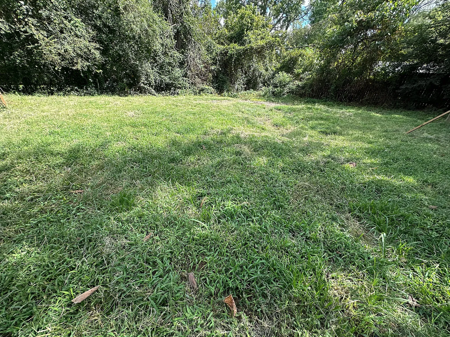3 bed, 1200 sqft, $1,700 — Photo 3
