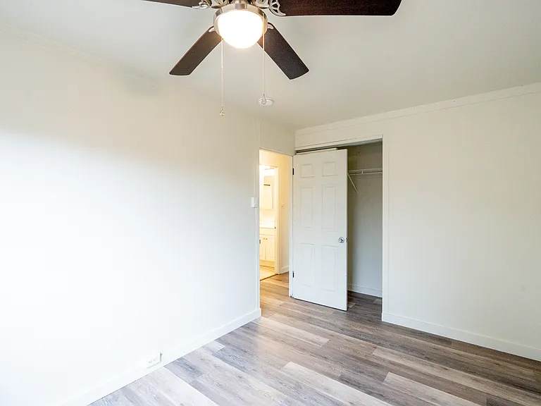 Ipu Cir — Photo 10