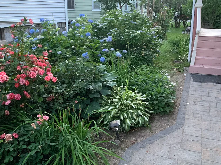 6 Manor St #2 — Photo 28