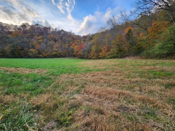 0 Pine Lick Rd Lot 1, Whitleyville, TN 38588