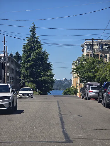 309 2nd Ave S #A Photo 1 309 2nd Ave S #A Photo 1