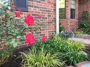 4th image of 63 Sunflower Dr