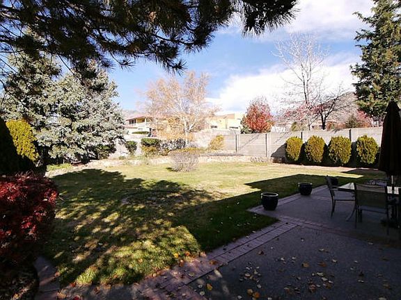 back yard_12262013