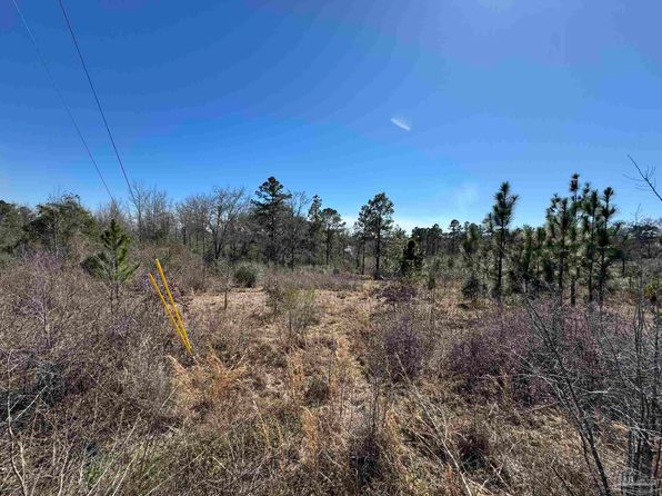 LOT 3 Will Jones Rd, Jay, FL 32565