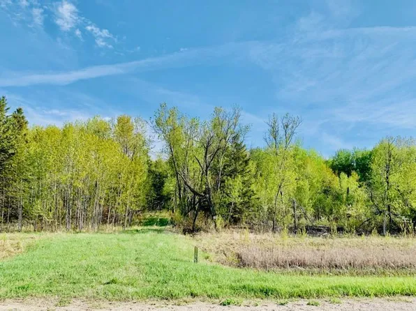 County Road 8 NW, Baudette, MN 56623