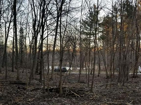 5th image of 60 Freedom Lake South Ct