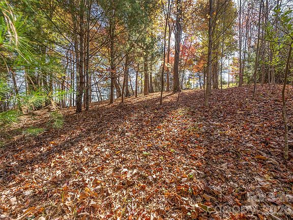 5th image of 44 Ridge Pine Trl #83