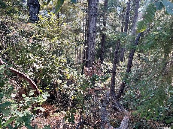 3rd image of 44007 Iversen Road