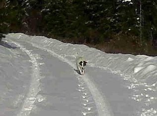 3378 H Hill Loop Rd, Kettle Falls, WA 99141