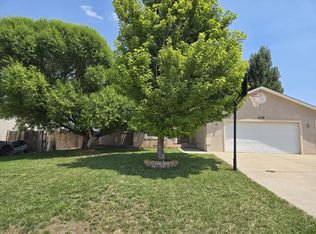 306 High Meadows Way, Florence, CO 81226