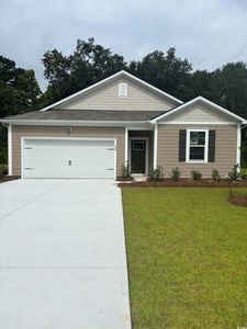 364 RookRoost Circle, Conway, SC, 29526