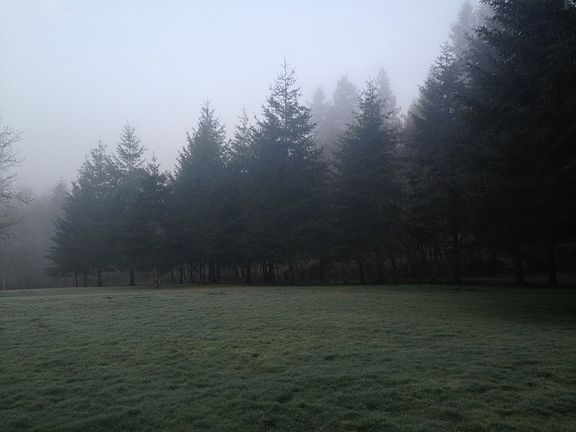 Lots of Fields/Yards/Trees