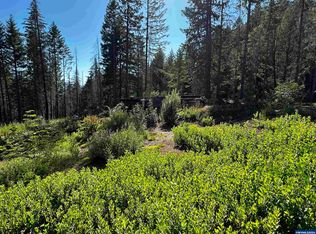 105 E Osprey Ln, Detroit, OR 97342