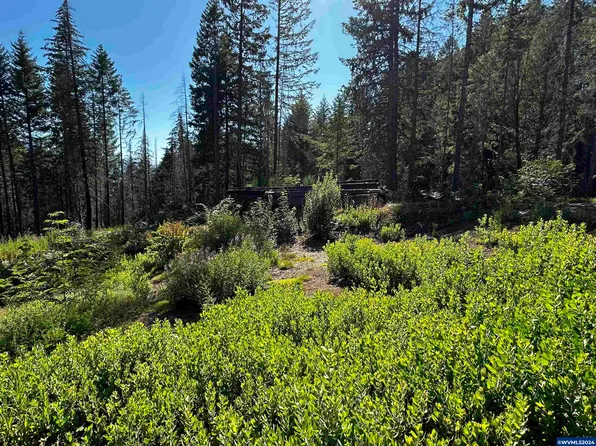 105 E Osprey Ln, Detroit, OR 97342