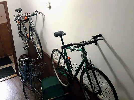 Rented by Douglas Elliman | media 6