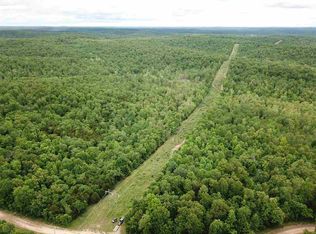 Needles Eye Trl, Mammoth spring, AR 72554