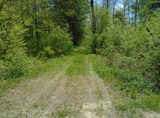 Willet Line Rd, Mc Donough, NY 13801