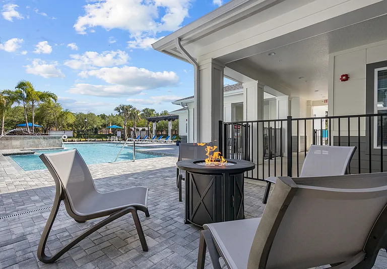 New Tampa Palms — Photo 1