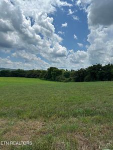 Sparrow Ln, Speedwell, TN, 37870
