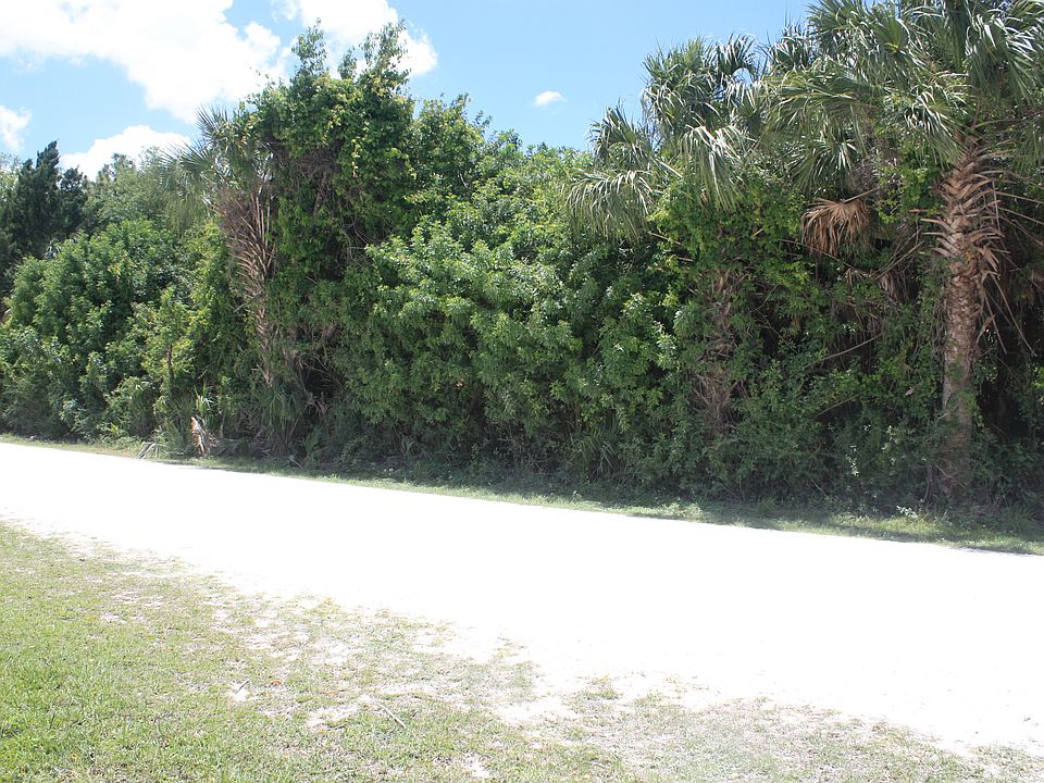 2nd image of Dophin Dr