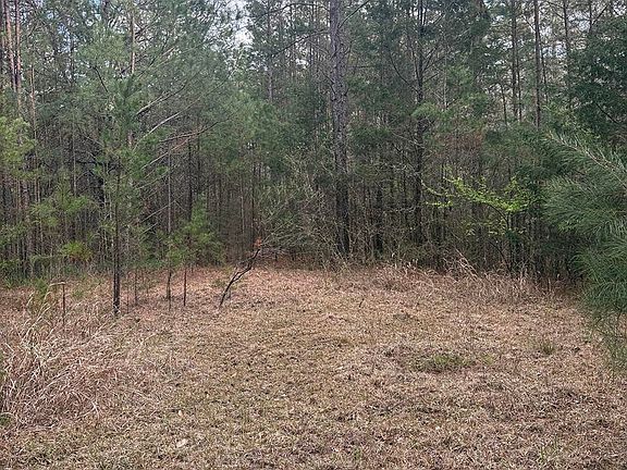 Photo Mar 16 2026 5 38 50 Pm