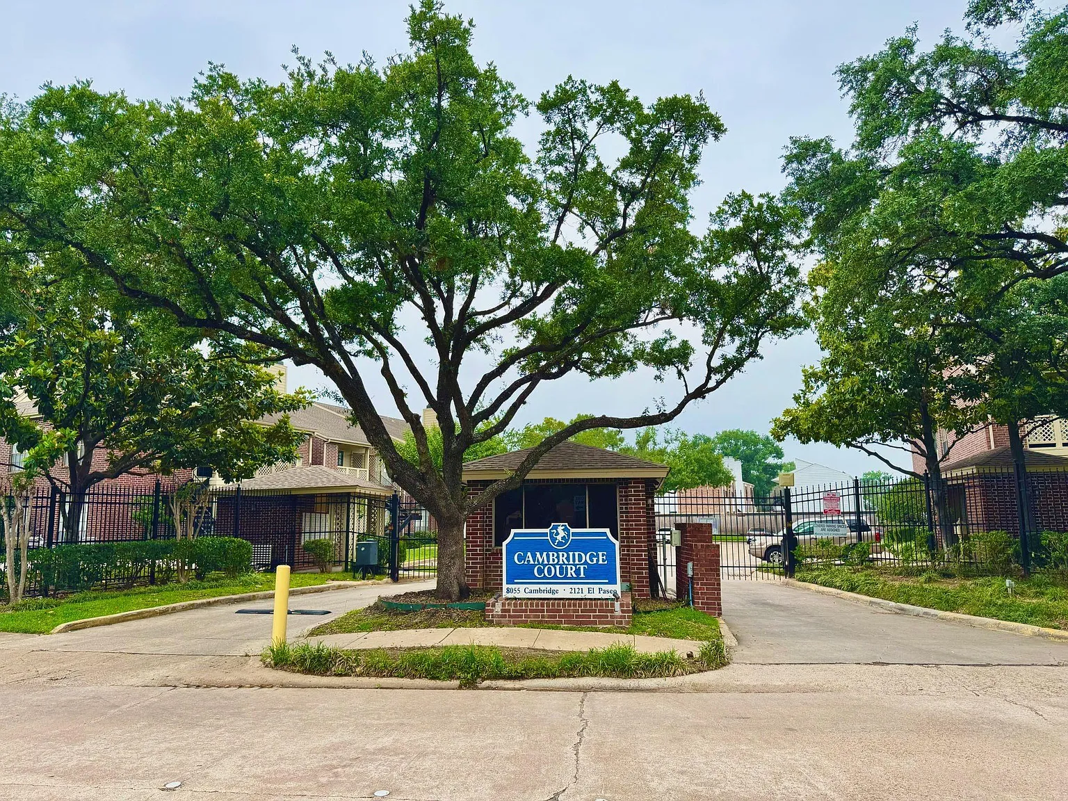 2 bed, 1.0 bath, 776 sqft, $1,200 — Photo 4