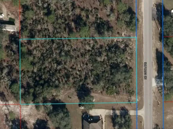 Tbd Ne 105th Ave, Bronson, FL 32621