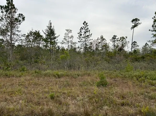 101 Fort Tyler Trl, Waynesville, GA 31566