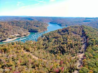 Braden Rd, Speedwell, TN 37870