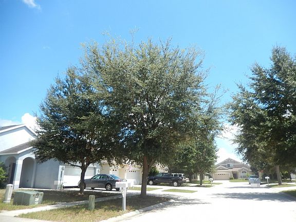 5th image of 11121 Newbridge Dr