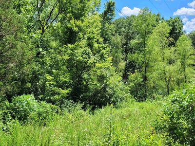 3 Cross Crk, Cobden, IL, 62920