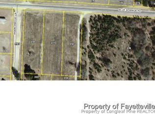 Blue Springs Rd, Red Springs, NC 28377