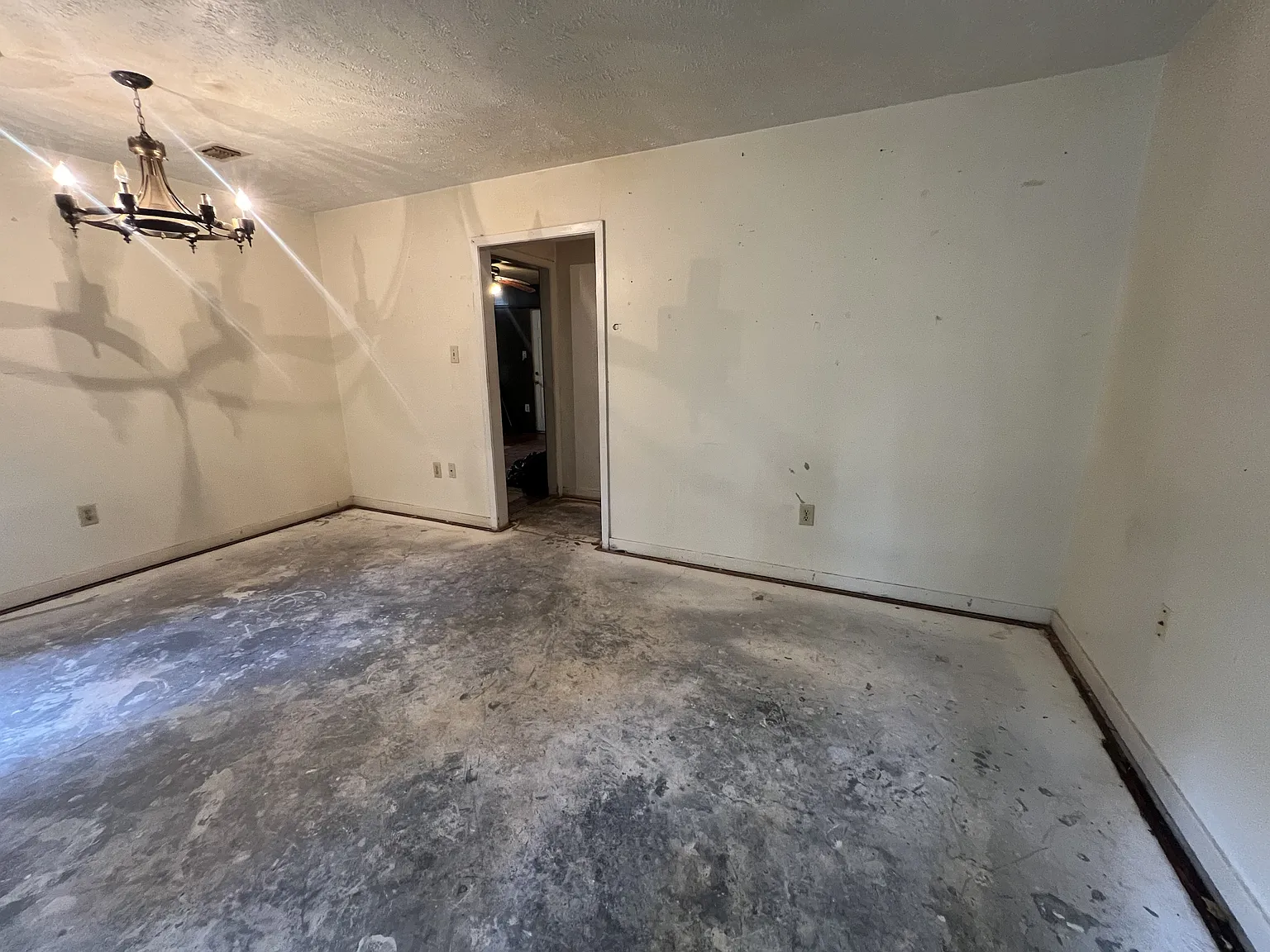 137 Grover Cleveland Circle - 1 — Photo 3