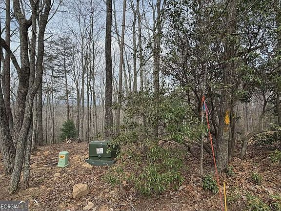 2nd image of TRACT B2 Mountain St #2