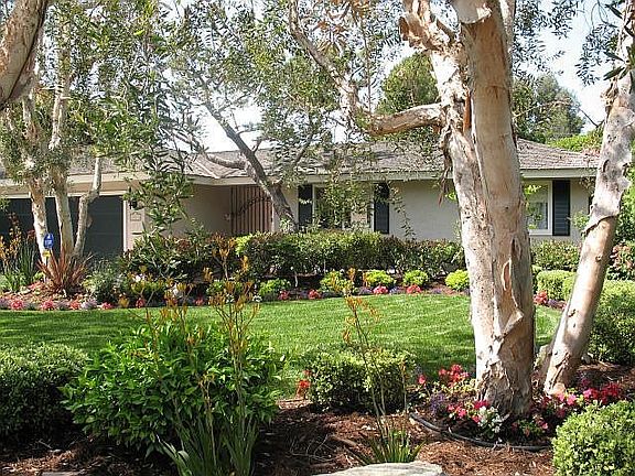 Gorgeous landscaping