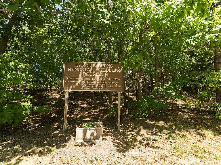 Harold Burns Arboretum (Local Hiking)
