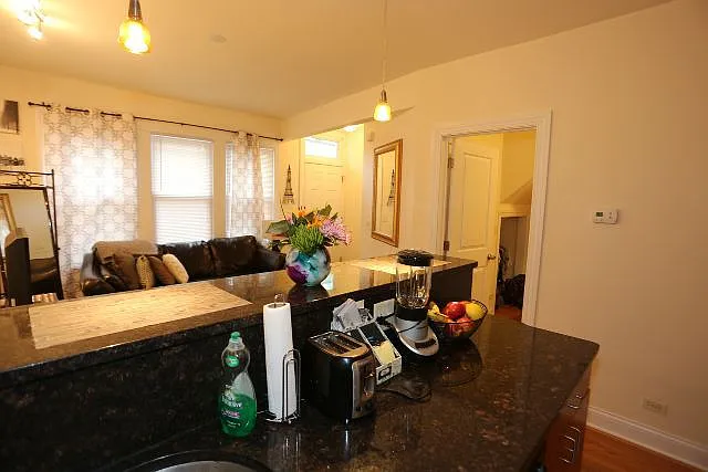 1738 W Altgeld St #F2 — Photo 4