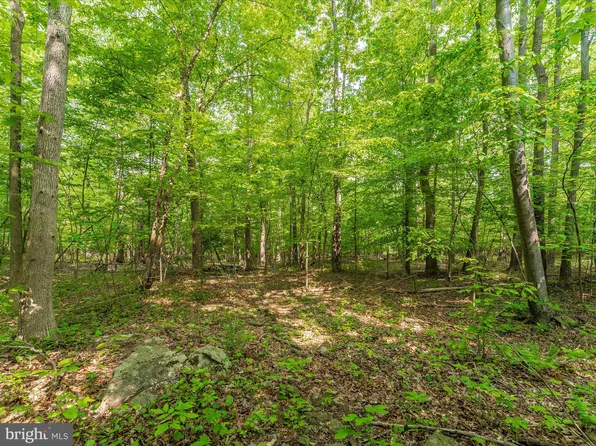 6842 Browns Quarry Rd, Sabillasville, MD 21780