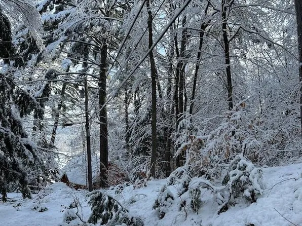 Map 116/lot41 Notch Avenue, Madison, NH 03849