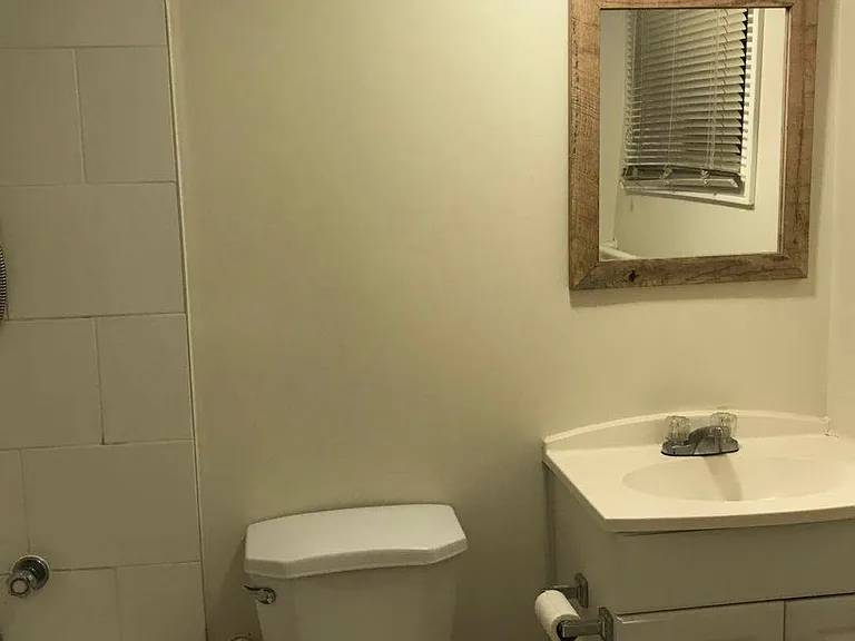 235 Oakwood Ave #BASEMENT — Photo 8