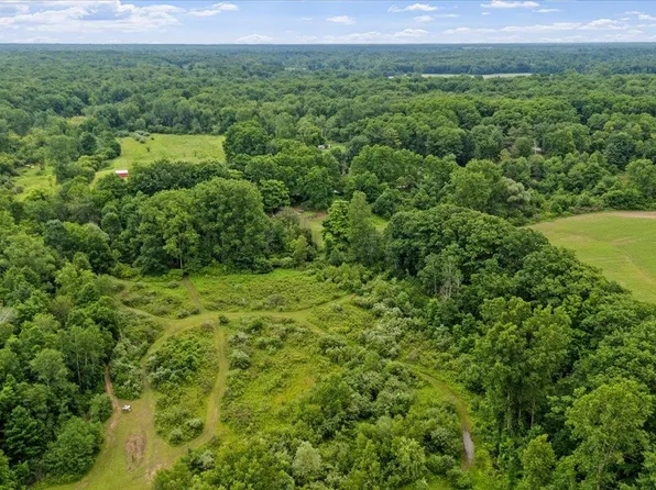 1187 Parks Rd, Goodells, MI 48027
